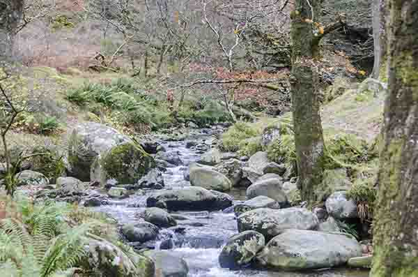 121 - Irlanda - Glendalough - paisaje